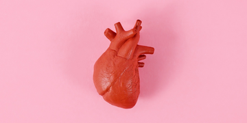 Taking Care of Your Heart: Heart health for middle-aged women