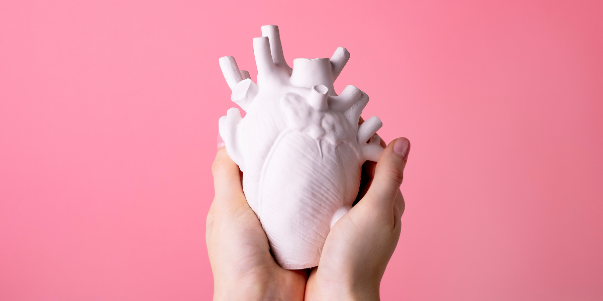 Taking Care of Your Heart: Heart health during pregnancy