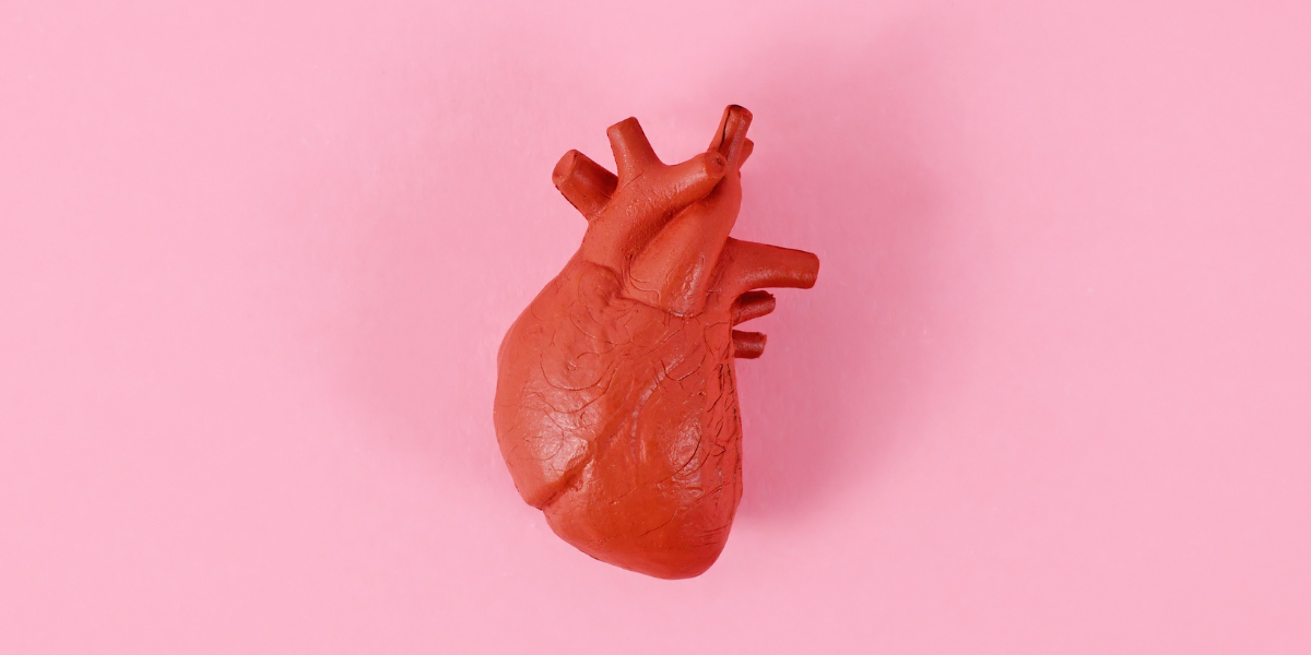 Taking Care of Your Heart: Heart health for middle-aged women