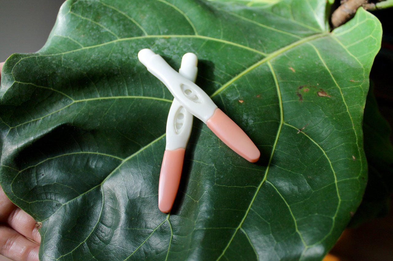 Elyse took a Winx Health (formerly known as Stix) pregnancy test. Here's what she thought