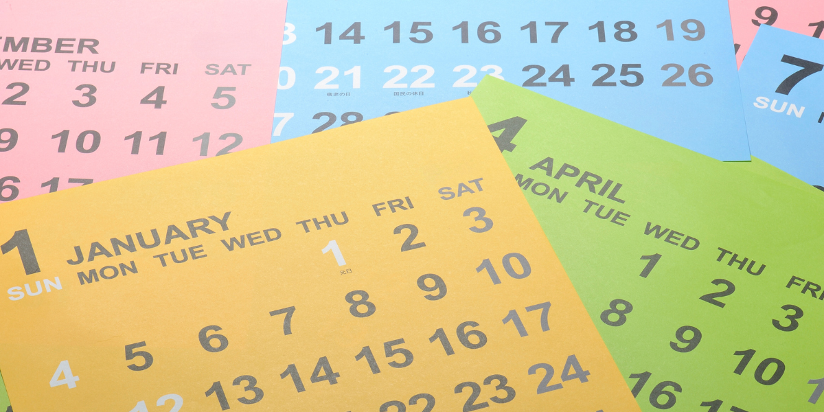 How to honor each phase of your cycle holistically
