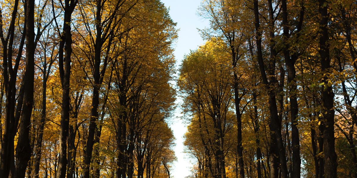 Does the changing of seasons affect your vagina?