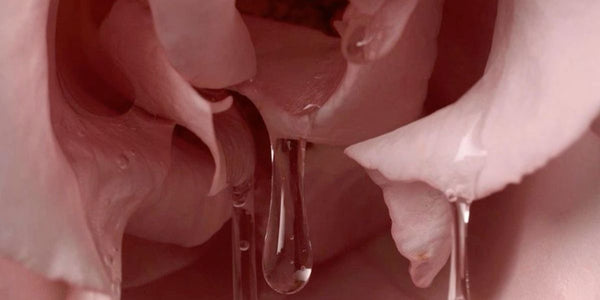 Can you get an STI from oral sex?