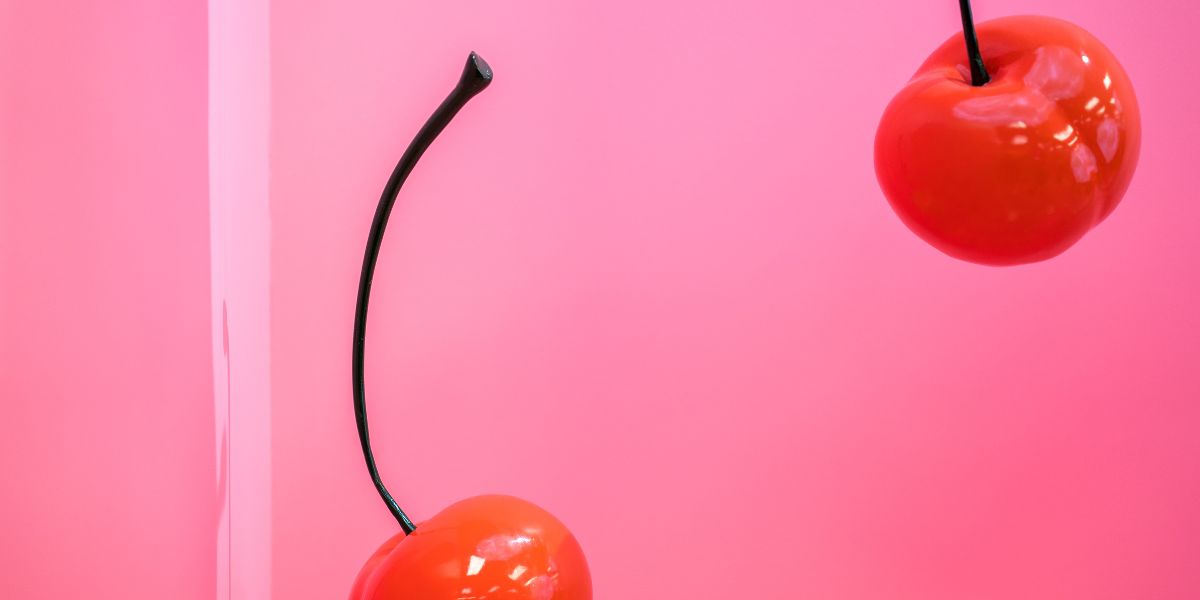 Our holiday gift guide... for vaginas