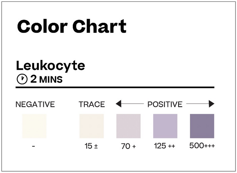 Color chart